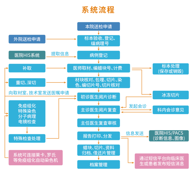 病理流程图.png